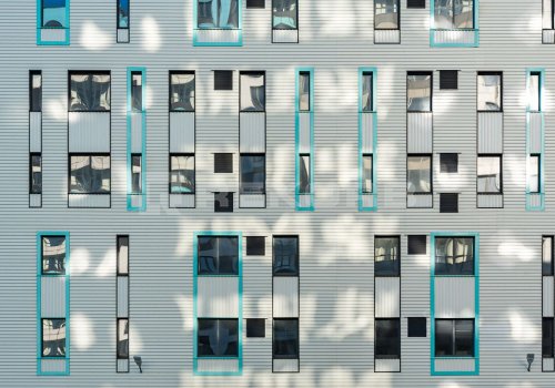 Сота - торговые помещения Санкт-Петербурга. Фото №3