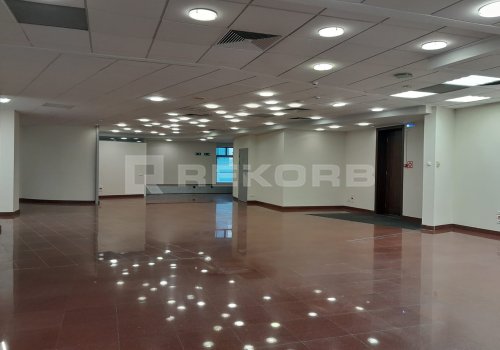 Сдается помещение в Спб 236 кв.м. Фото №3