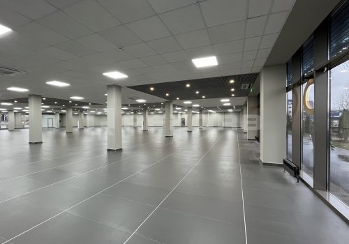 Сдается офис в Спб 460 кв.м. Фото №3