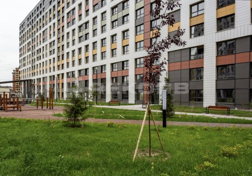 ЖК FoRest Akvilon - торговые помещения Санкт-Петербурга. Фото №3