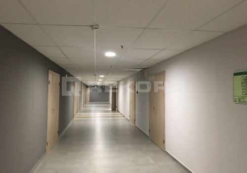 Сдается в аренду в Спб 55 кв.м. Фото №1