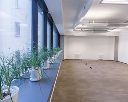 Помещение 55 кв.м. - фото 32501