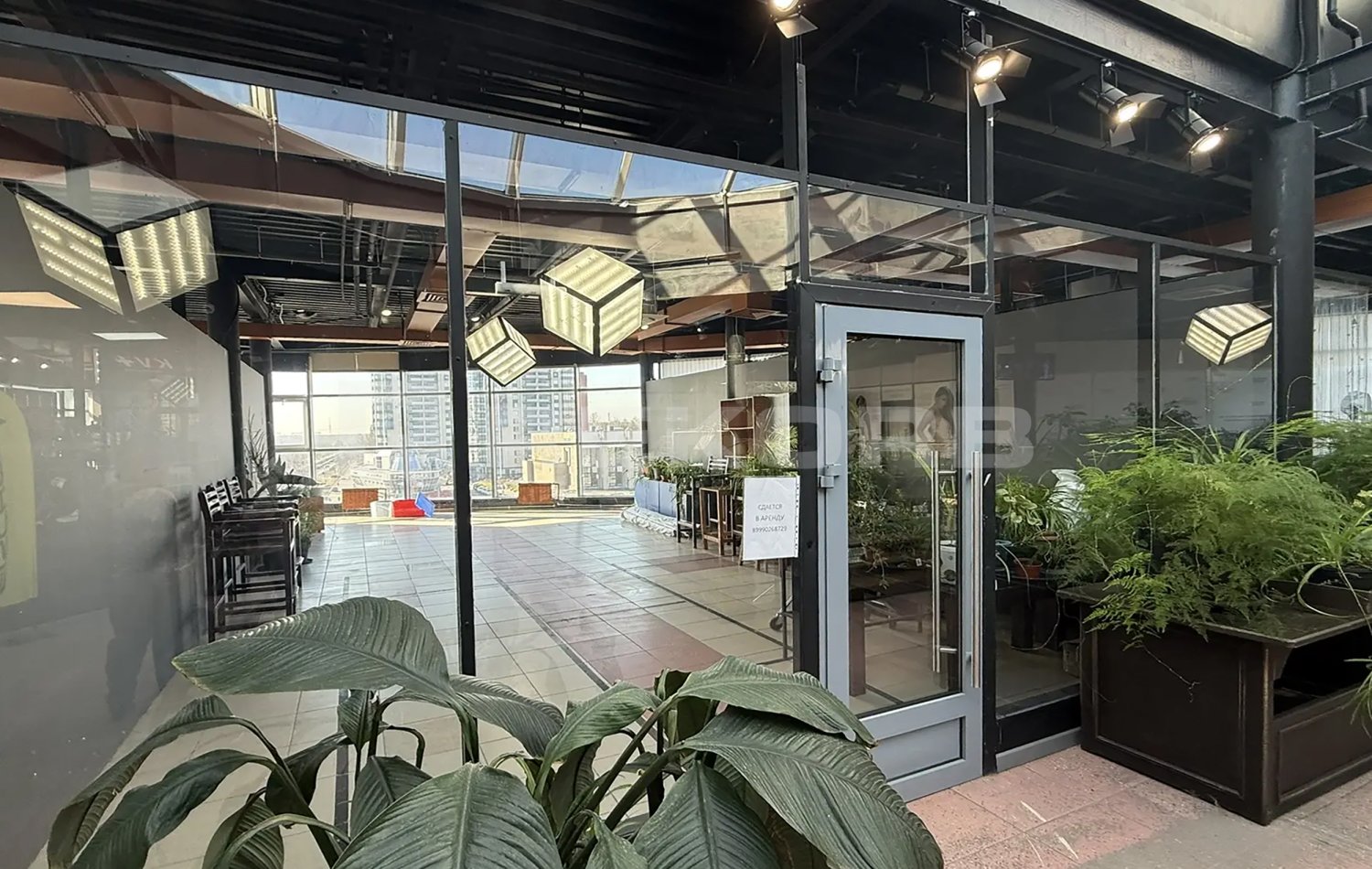 Офис в аренду 66 кв.м. в ТРК Культпросвет - фото 6