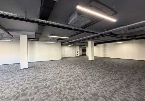 Сдается помещение в Спб 247 кв.м. Фото №3