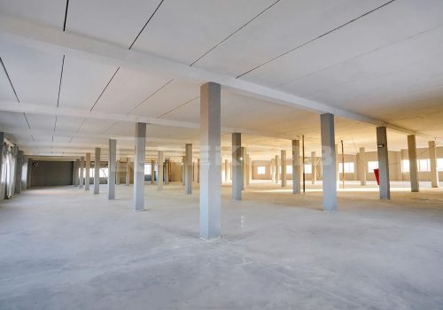  в Санкт-Петербурге 2 250 кв.м. Фото №3