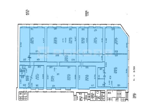 Предлагается в аренду в Спб 285 кв.м. Фото №2