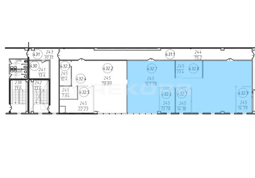 Сдается офис в Спб 224 кв.м. Фото №2