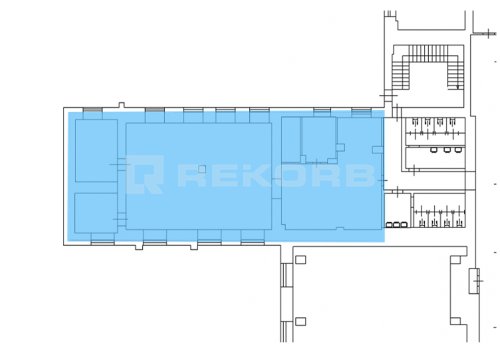 Предлагается в аренду в Спб 240 кв.м. Фото №2
