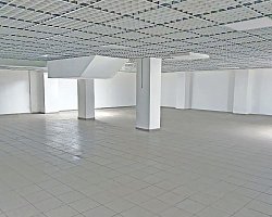 Помещение 556 кв.м. - фото 32273