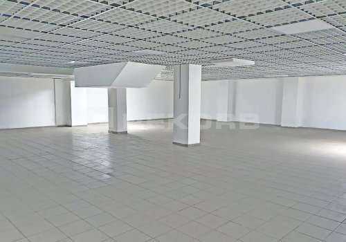 Офис в Спб 556 кв.м. Фото №1