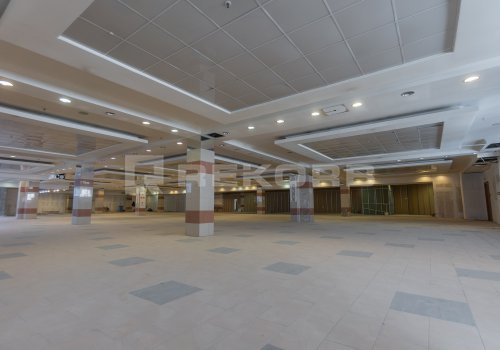 Офис у метро Комендантский проспект в Санкт-Петербурге 1 500 кв.м. Фото №1