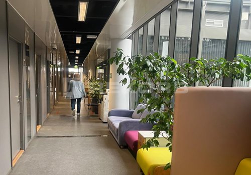 Снять офис в Санкт-Петербурге 1 263 кв.м. Фото №3