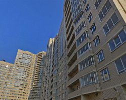 Помещение 89 кв.м. - фото 430315