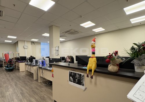 Сдается в аренду помещение в Спб 92 кв.м. Фото №3