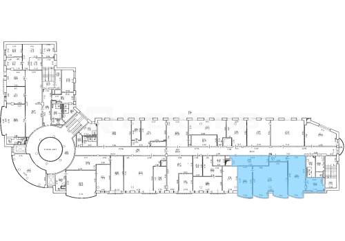 Сдается в аренду помещение в Спб 135 кв.м. Фото №2