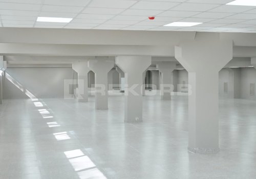 Предлагается помещение в Спб 964 кв.м. Фото №3