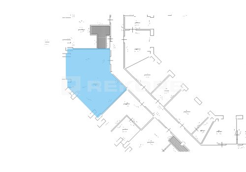 Сдается в аренду в Спб 66 кв.м. Фото №2