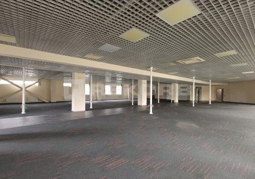 Предлагается в аренду в Спб 918 кв.м. Фото №3