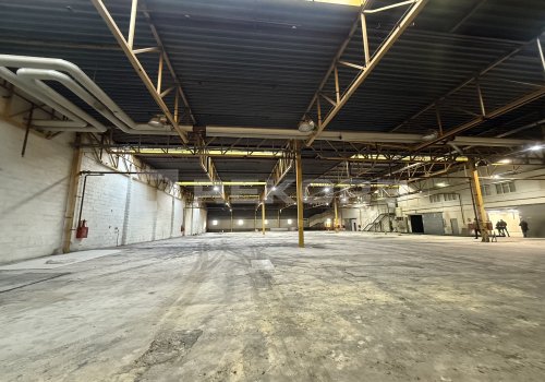 Снять офис в Санкт-Петербурге 4 409 кв.м. Фото №3